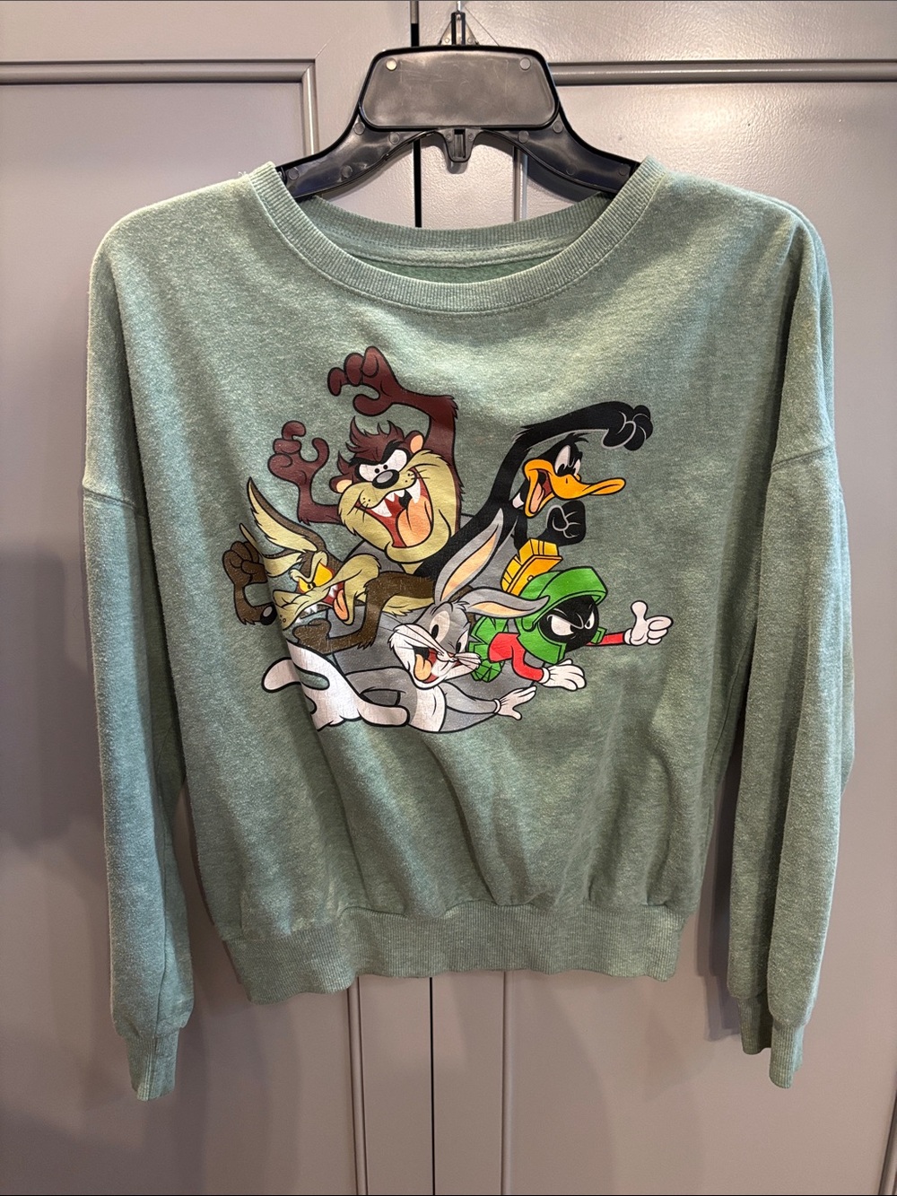 Looney Tunes Graphic Crewneck Sweater - Sage Green S